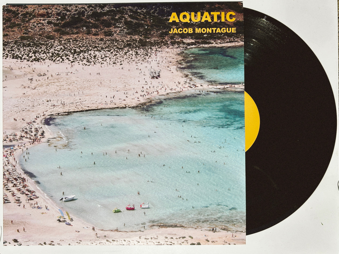 AQUATIC VINYL