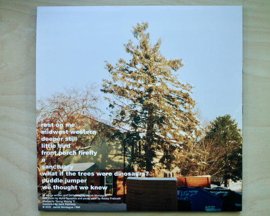 Midwest Western Vinyl